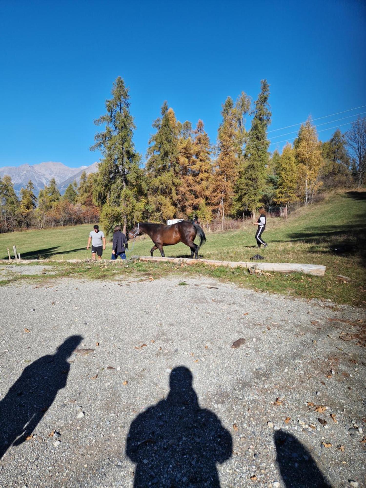 Gite De La Draye Crots Dış mekan fotoğraf